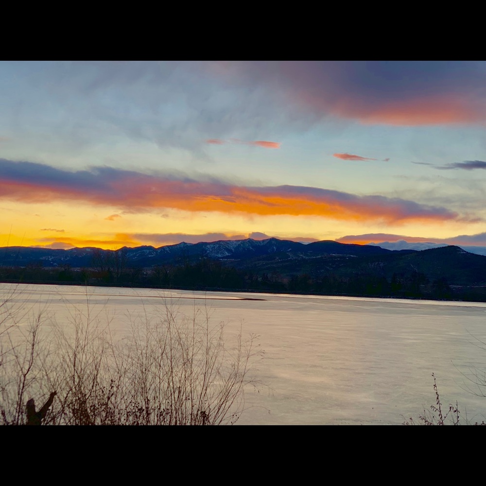 Meet your Posher, Shayla